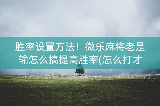 胜率设置方法！微乐麻将老是输怎么搞提高胜率(怎么打才赢)