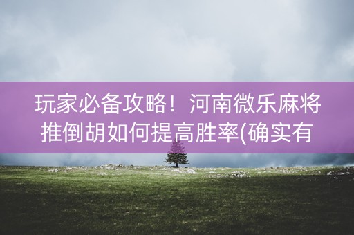 玩家必备攻略！河南微乐麻将推倒胡如何提高胜率(确实有挂吗)