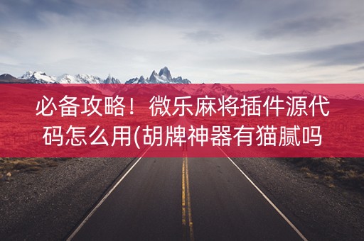 必备攻略！微乐麻将插件源代码怎么用(胡牌神器有猫腻吗)