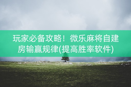 玩家必备攻略！微乐麻将自建房输赢规律(提高胜率软件)