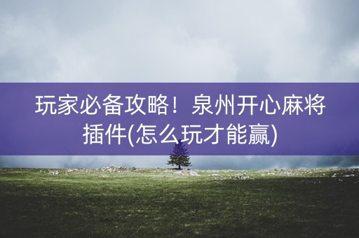 玩家必备攻略！泉州开心麻将插件(怎么玩才能赢)