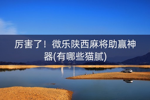 厉害了！微乐陕西麻将助赢神器(有哪些猫腻)