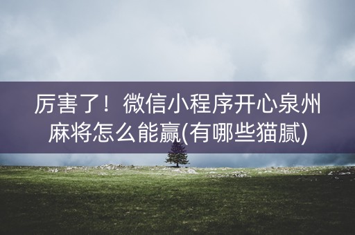 厉害了！微信小程序开心泉州麻将怎么能赢(有哪些猫腻)