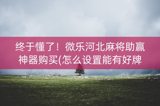终于懂了！微乐河北麻将助赢神器购买(怎么设置能有好牌)
