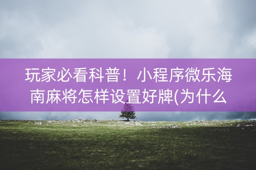 玩家必看科普！小程序微乐海南麻将怎样设置好牌(为什么老是输呢)