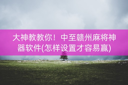 大神教教你！中至赣州麻将神器软件(怎样设置才容易赢)