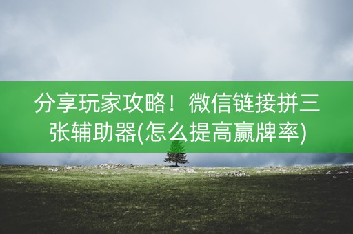 分享玩家攻略！微信链接拼三张辅助器(怎么提高赢牌率)