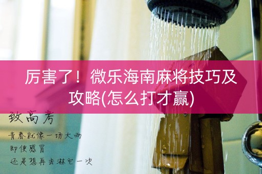 厉害了！微乐海南麻将技巧及攻略(怎么打才赢)