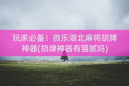 玩家必备！微乐湖北麻将胡牌神器(胡牌神器有猫腻吗)