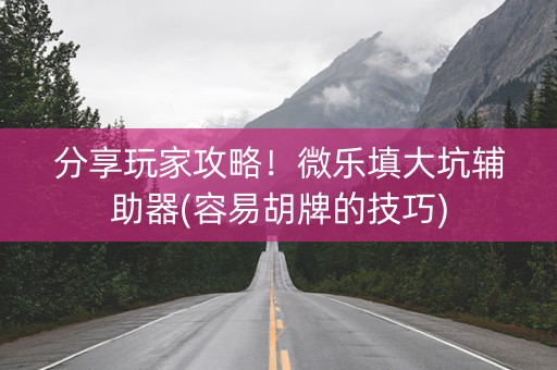 分享玩家攻略！微乐填大坑辅助器(容易胡牌的技巧)