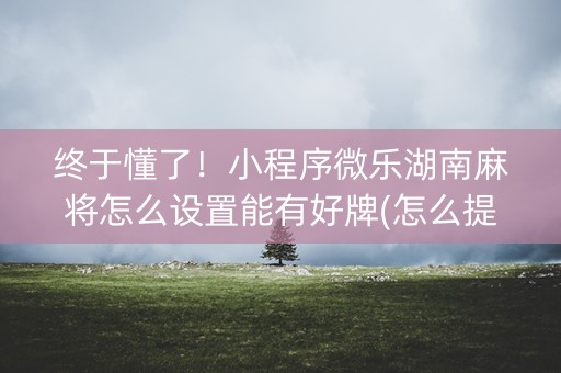 终于懂了！小程序微乐湖南麻将怎么设置能有好牌(怎么提高好牌几率)