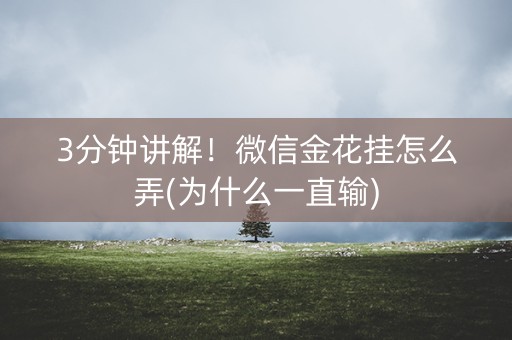 3分钟讲解！微信金花挂怎么弄(为什么一直输)