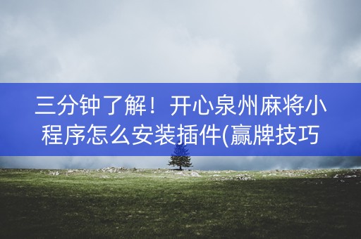 三分钟了解！开心泉州麻将小程序怎么安装插件(赢牌技巧插件安装)