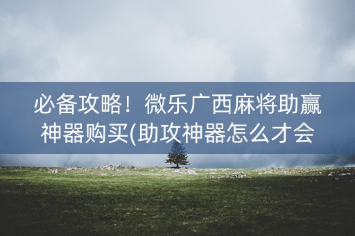 必备攻略！微乐广西麻将助赢神器购买(助攻神器怎么才会赢)