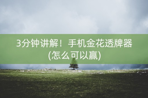 3分钟讲解！手机金花透牌器(怎么可以赢)