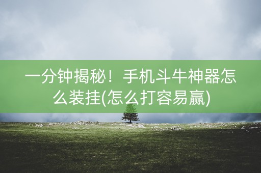 一分钟揭秘！手机斗牛神器怎么装挂(怎么打容易赢)