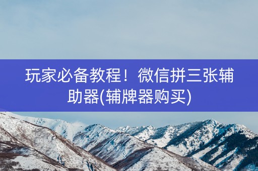 玩家必备教程！微信拼三张辅助器(辅牌器购买)