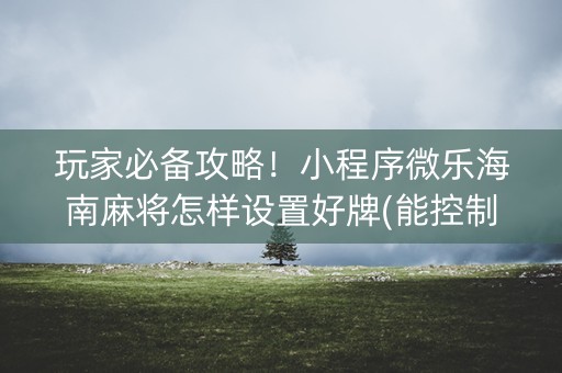 玩家必备攻略！小程序微乐海南麻将怎样设置好牌(能控制输赢吗)