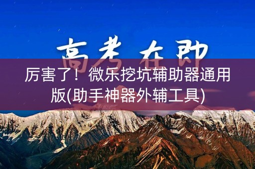 厉害了！微乐挖坑辅助器通用版(助手神器外辅工具)