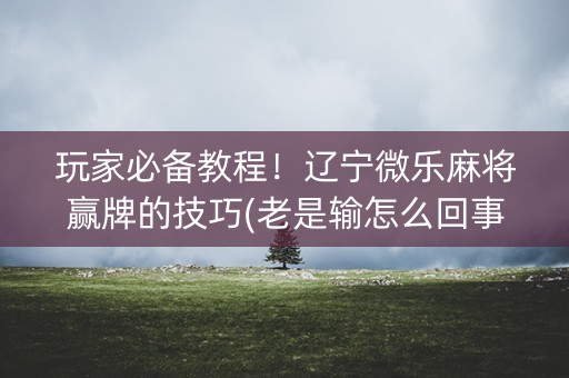 玩家必备教程！辽宁微乐麻将赢牌的技巧(老是输怎么回事)