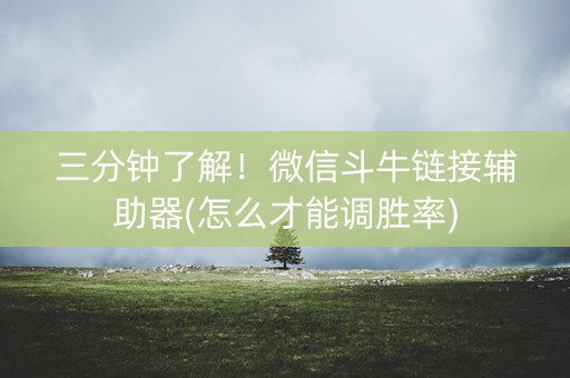 三分钟了解！微信斗牛链接辅助器(怎么才能调胜率)