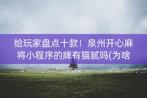 给玩家盘点十款！泉州开心麻将小程序的牌有猫腻吗(为啥总是输)