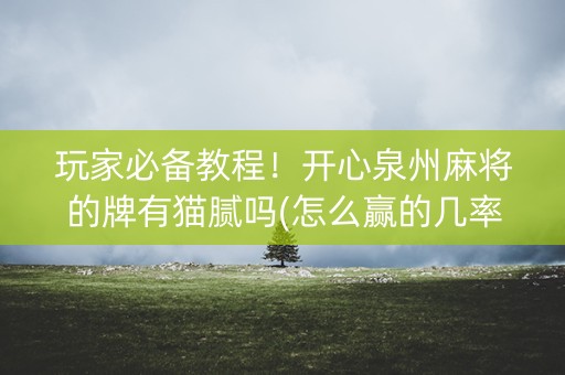 玩家必备教程！开心泉州麻将的牌有猫腻吗(怎么赢的几率大)