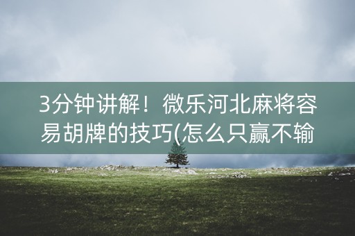 3分钟讲解！微乐河北麻将容易胡牌的技巧(怎么只赢不输)