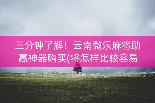 三分钟了解！云南微乐麻将助赢神器购买(将怎样比较容易赢)