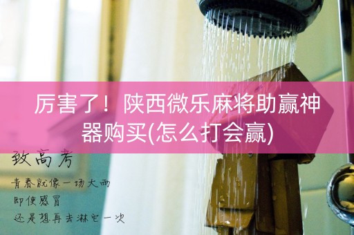 厉害了！陕西微乐麻将助赢神器购买(怎么打会赢)