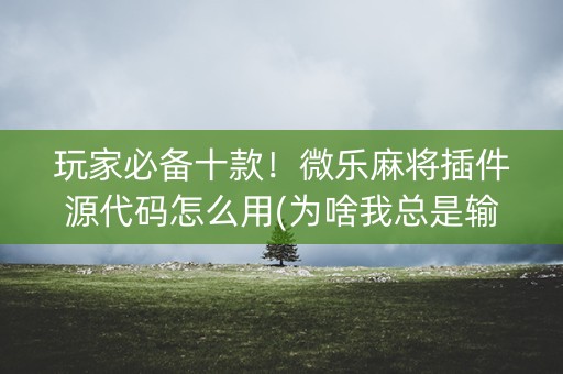 玩家必备十款！微乐麻将插件源代码怎么用(为啥我总是输)