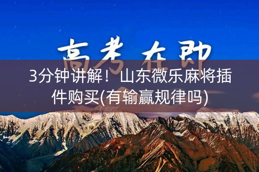 3分钟讲解！山东微乐麻将插件购买(有输赢规律吗)