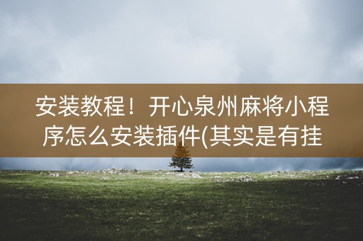 安装教程！开心泉州麻将小程序怎么安装插件(其实是有挂的)