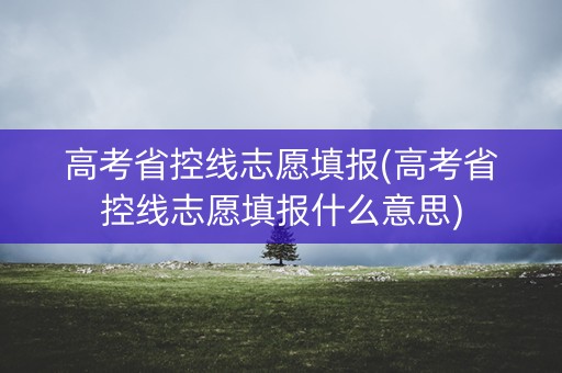 高考省控线志愿填报(高考省控线志愿填报什么意思)