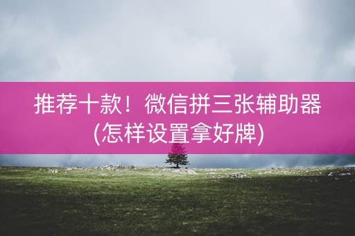 推荐十款！微信拼三张辅助器(怎样设置拿好牌)