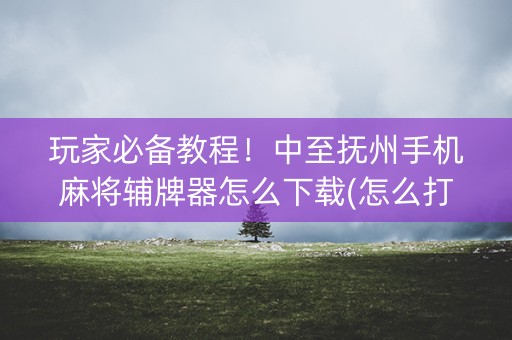 玩家必备教程！中至抚州手机麻将辅牌器怎么下载(怎么打才赢)