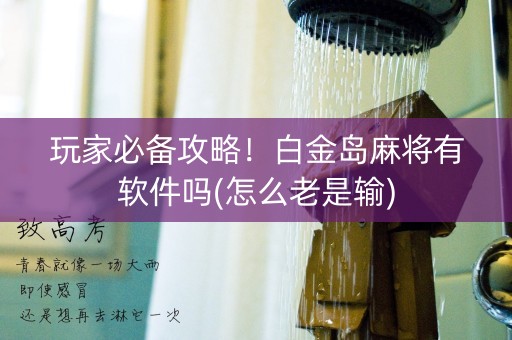 玩家必备攻略！白金岛麻将有软件吗(怎么老是输)