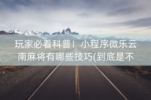 玩家必看科普！小程序微乐云南麻将有哪些技巧(到底是不是有挂)