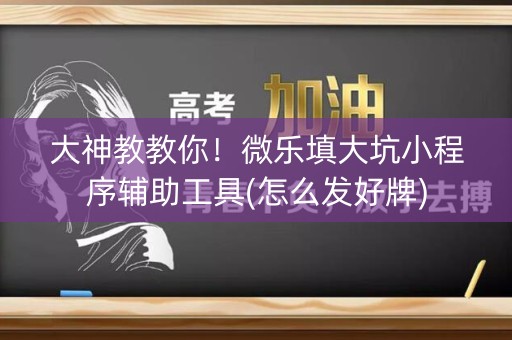 大神教教你！微乐填大坑小程序辅助工具(怎么发好牌)