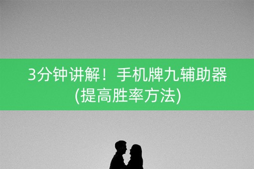 3分钟讲解！手机牌九辅助器(提高胜率方法)