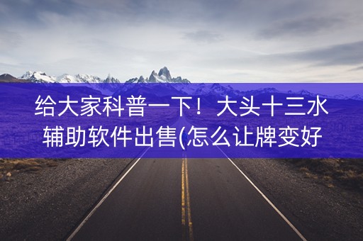 给大家科普一下！大头十三水辅助软件出售(怎么让牌变好)