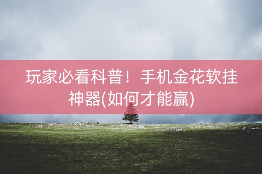 玩家必看科普！手机金花软挂神器(如何才能赢)