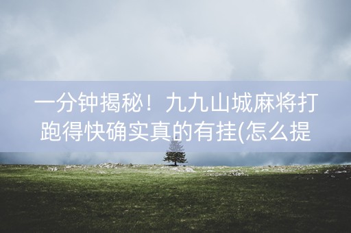 一分钟揭秘！九九山城麻将打跑得快确实真的有挂(怎么提高胡牌率)