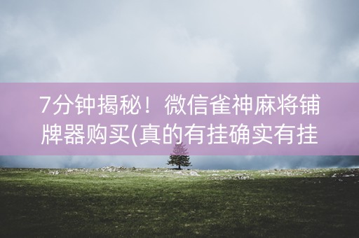 7分钟揭秘！微信雀神麻将铺牌器购买(真的有挂确实有挂)