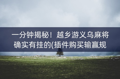一分钟揭秘！越乡游义乌麻将确实有挂的(插件购买输赢规律)