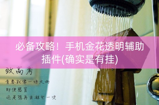 必备攻略！手机金花透明辅助插件(确实是有挂)