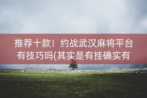 推荐十款！约战武汉麻将平台有技巧吗(其实是有挂确实有挂)