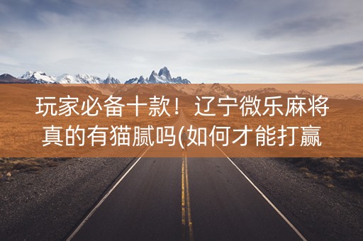 玩家必备十款！辽宁微乐麻将真的有猫腻吗(如何才能打赢)