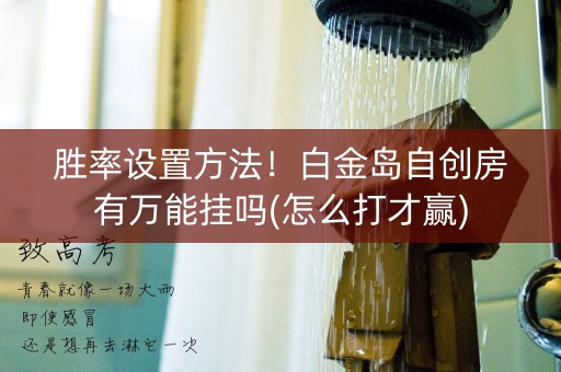 胜率设置方法！白金岛自创房有万能挂吗(怎么打才赢)