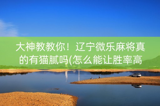 大神教教你！辽宁微乐麻将真的有猫腻吗(怎么能让胜率高)